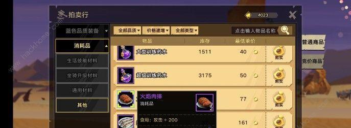 《无尽远征》刺客技能解析（从职业特色、技能效果到实战应用，全方位了解刺客职业技能！）