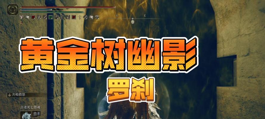 如何成为艾尔登法环维壶师？（维壶师支线介绍）