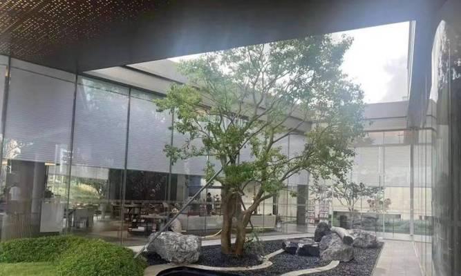 凤凰时光出装攻略大全（专业攻略揭秘，让你成为最强战士！）