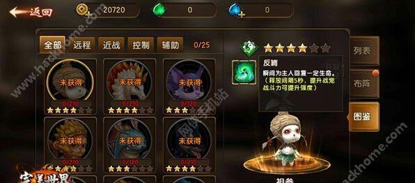 完美世界手游毕业宠物攻略（完美世界手游毕业宠物攻略，让你的伙伴成为战斗之王！）